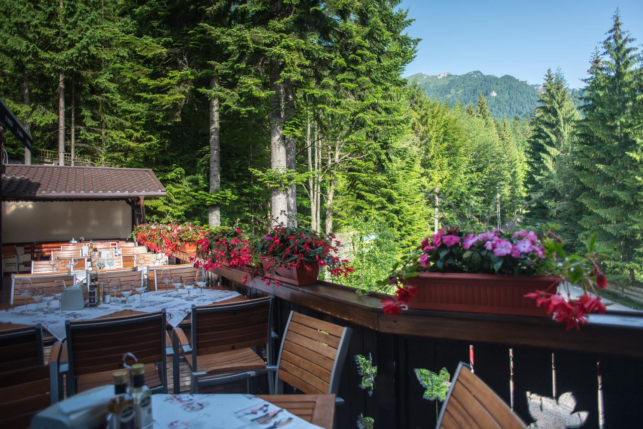 Cabana Schiori Sinaia Zewnętrze zdjęcie